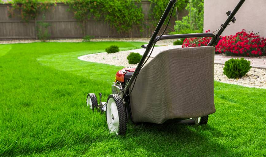 Lawn Mowing