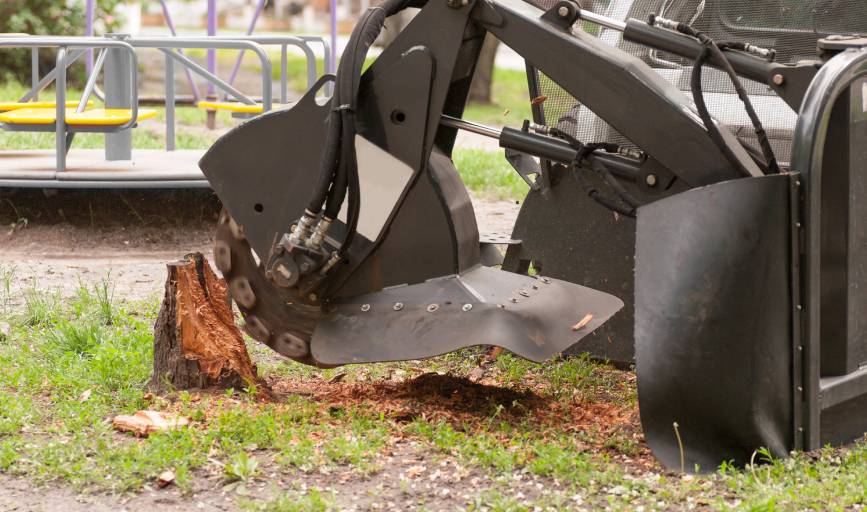 Stump Grinding